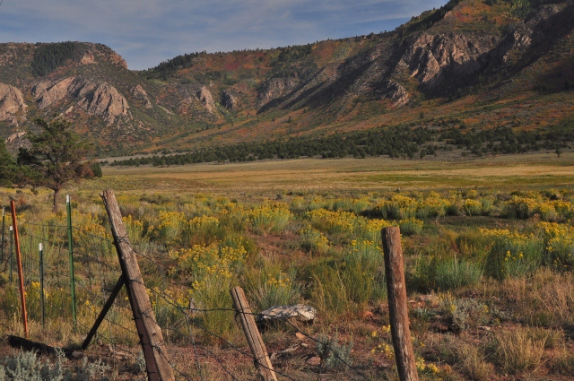 the fall colors of the canyons